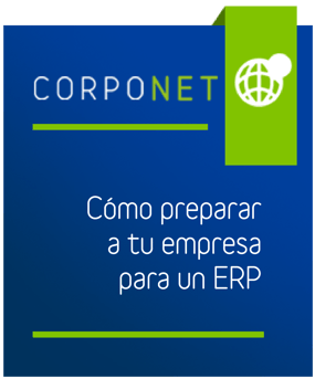 preview_checklist_como_preparar_a_tu_empresa_para_un_ERP-01.png