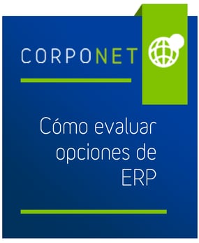 preview_checklist_como_evaluar_opciones_de_ERP-01.png