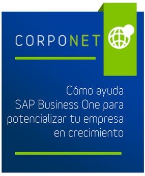 preview_infografia_como_ayuda_sap_business_one_para_potencializar_tu_empresa_en_crecimiento-01.png